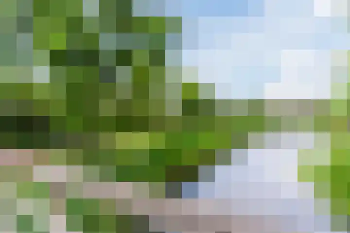Michiel de Ruijterstraat 62 Best thumbnail 63