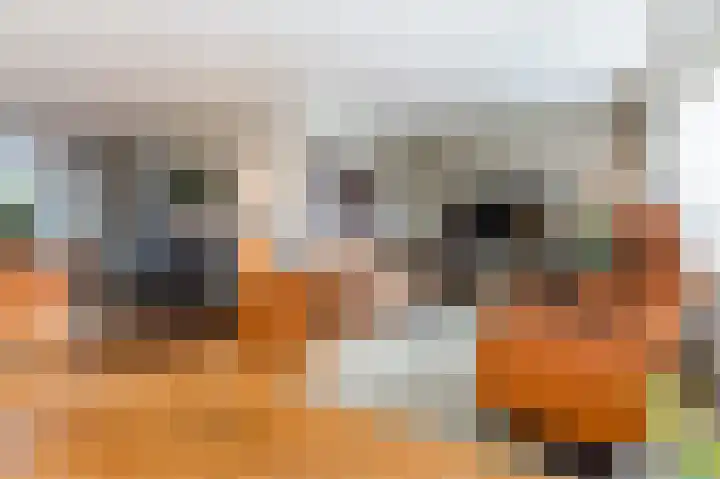 Michiel de Ruijterstraat 62 Best thumbnail 8