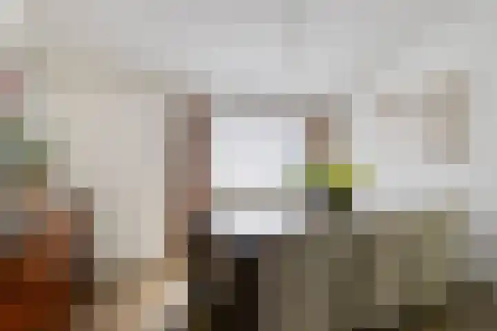 Michiel de Ruyterlaan 1 Rosmalen thumbnail 12