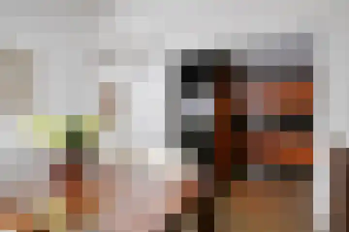 Michiel de Ruyterlaan 1 Rosmalen thumbnail 13