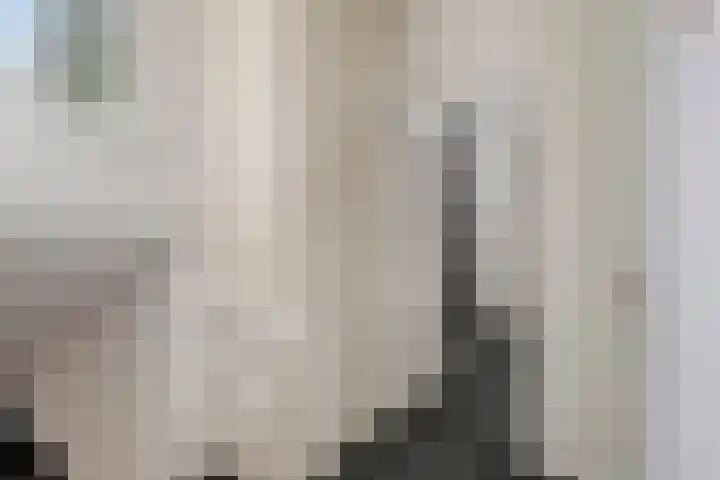Michiel de Ruyterlaan 1 Rosmalen thumbnail 16