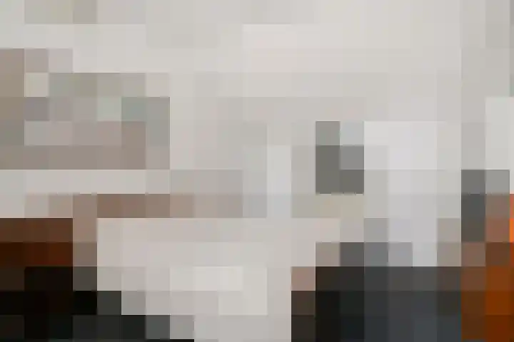 Michiel de Ruyterlaan 1 Rosmalen thumbnail 20