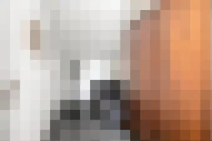 Michiel de Ruyterlaan 1 Rosmalen thumbnail 22