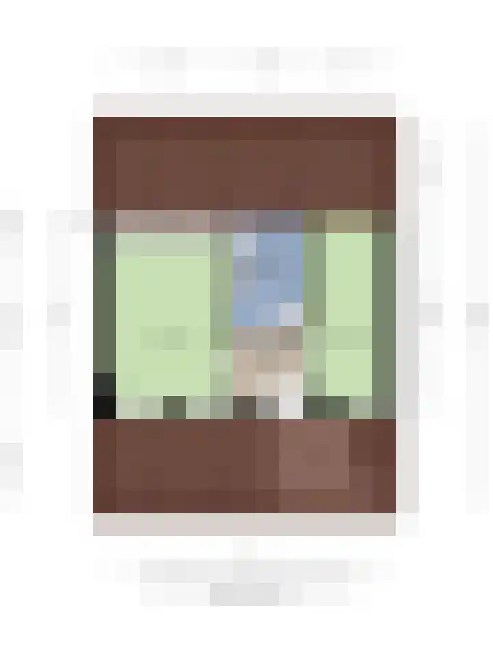 Michiel de Ruyterlaan 1 Rosmalen thumbnail 24