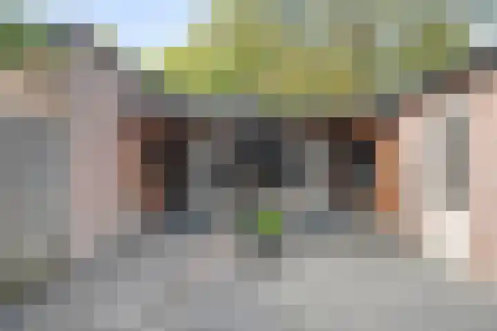 Michiel de Ruyterlaan 1 Rosmalen thumbnail 29