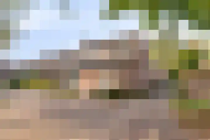 Michiel de Ruyterlaan 1 Rosmalen thumbnail 35