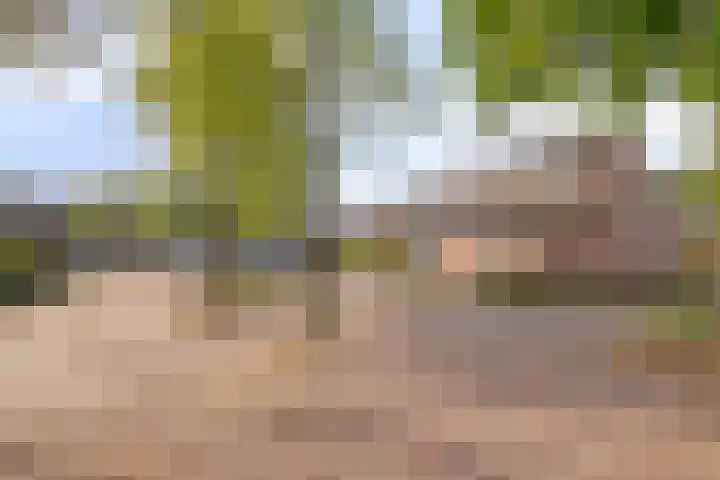 Michiel de Ruyterlaan 1 Rosmalen thumbnail 36