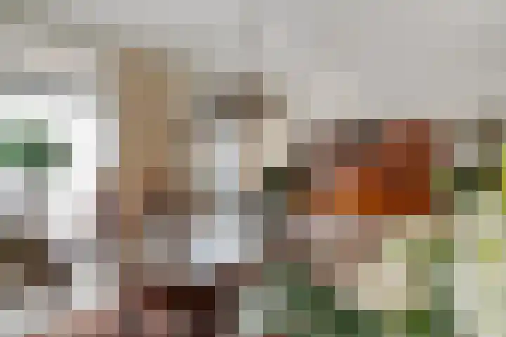 Michiel de Ruyterlaan 1 Rosmalen thumbnail 7