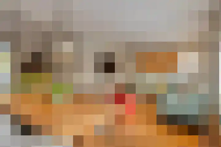 Michiel de Ruyterlaan 2 Oirschot thumbnail 10