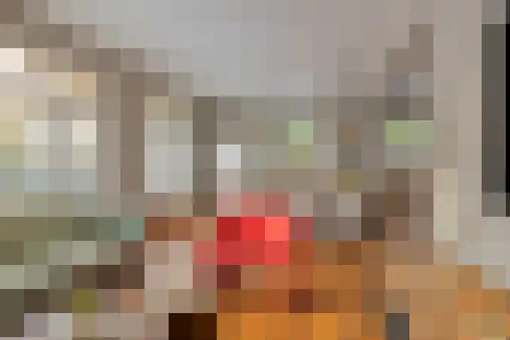 Michiel de Ruyterlaan 2 Oirschot thumbnail 12