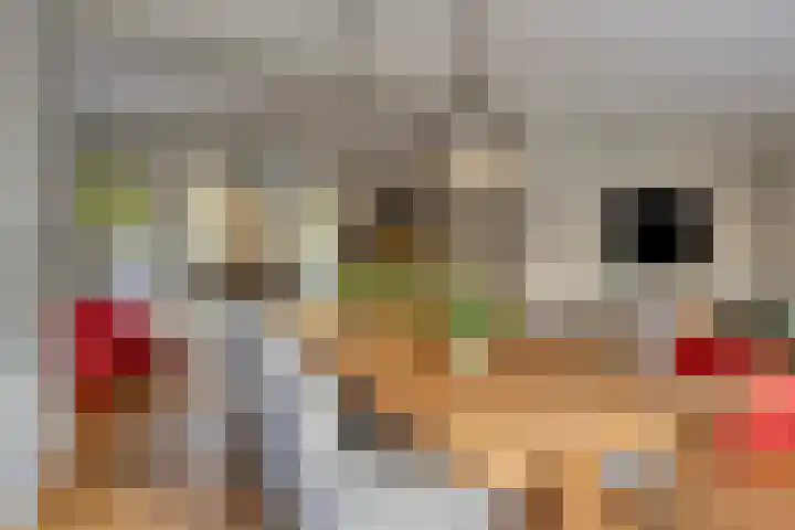 Michiel de Ruyterlaan 2 Oirschot thumbnail 16