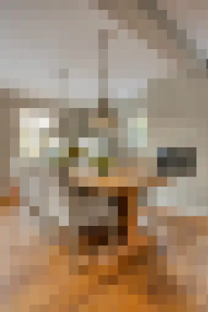 Michiel de Ruyterlaan 2 Oirschot thumbnail 17