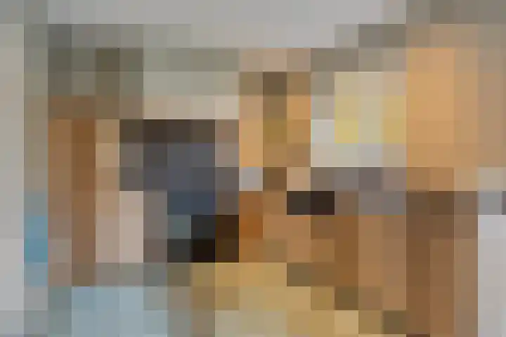 Michiel de Ruyterlaan 2 Oirschot thumbnail 22