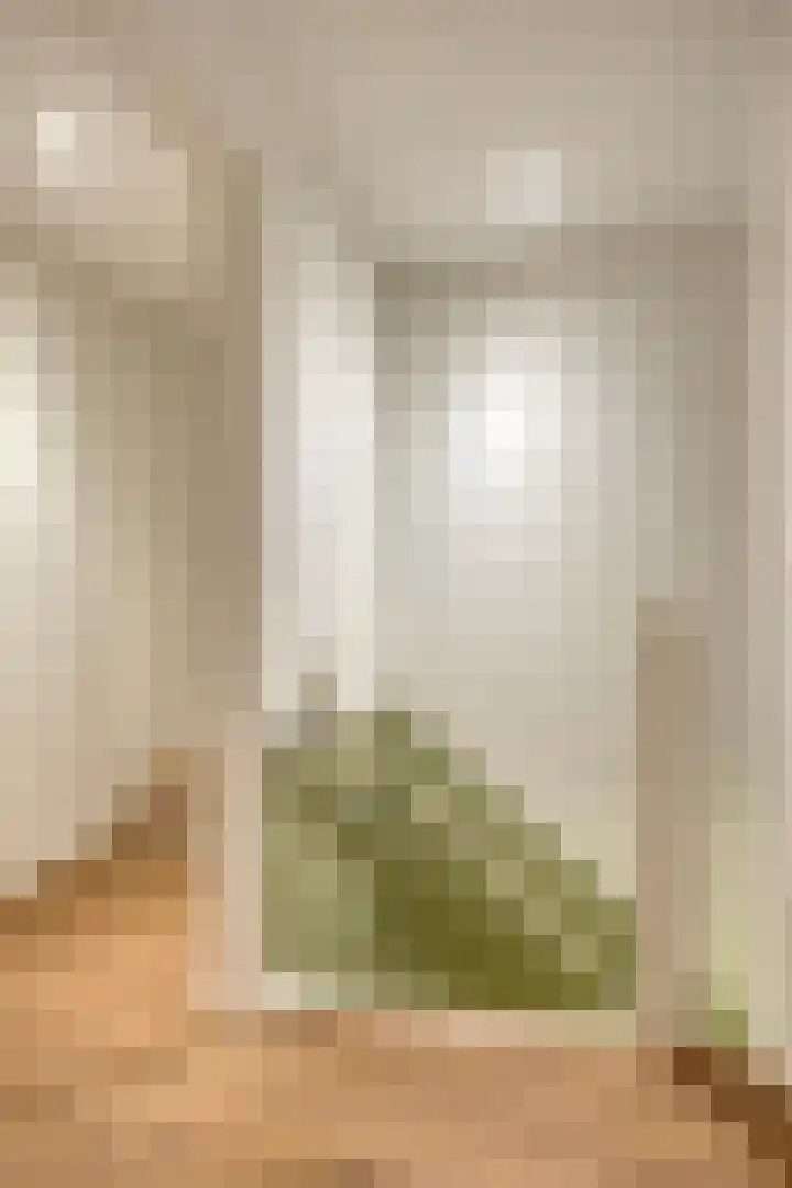 Michiel de Ruyterlaan 2 Oirschot thumbnail 27