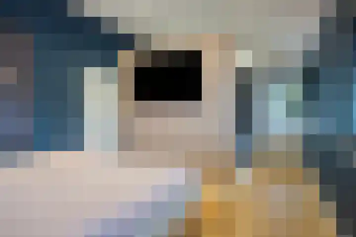 Michiel de Ruyterlaan 2 Oirschot thumbnail 30