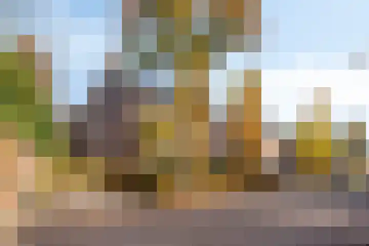 Michiel de Ruyterlaan 2 Oirschot thumbnail 32