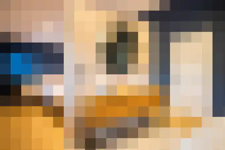 Michiel de Ruyterlaan 2 Oirschot thumbnail 33