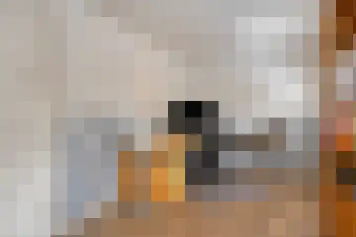 Michiel de Ruyterlaan 2 Oirschot thumbnail 36