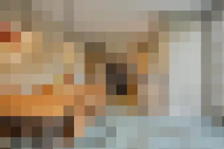 Michiel de Ruyterlaan 2 Oirschot thumbnail 4