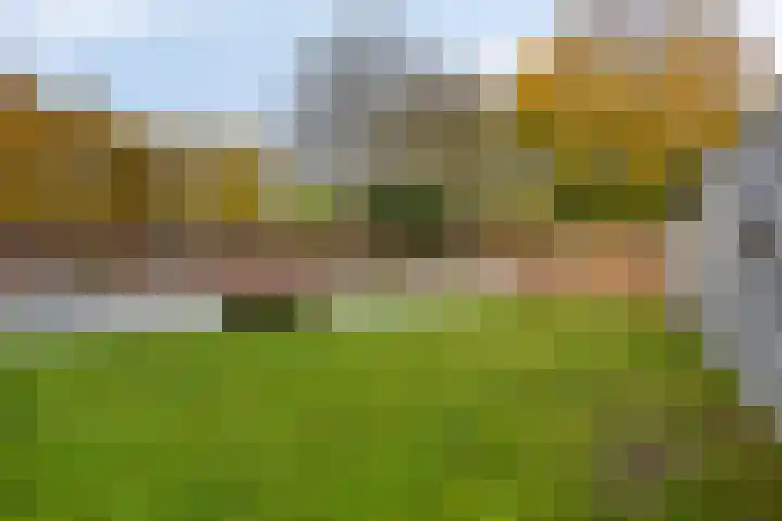 Michiel de Ruyterlaan 2 Oirschot thumbnail 44