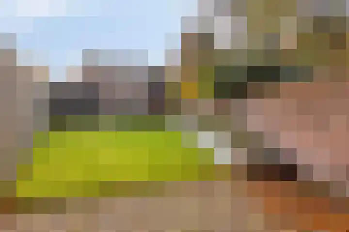 Michiel de Ruyterlaan 2 Oirschot thumbnail 45