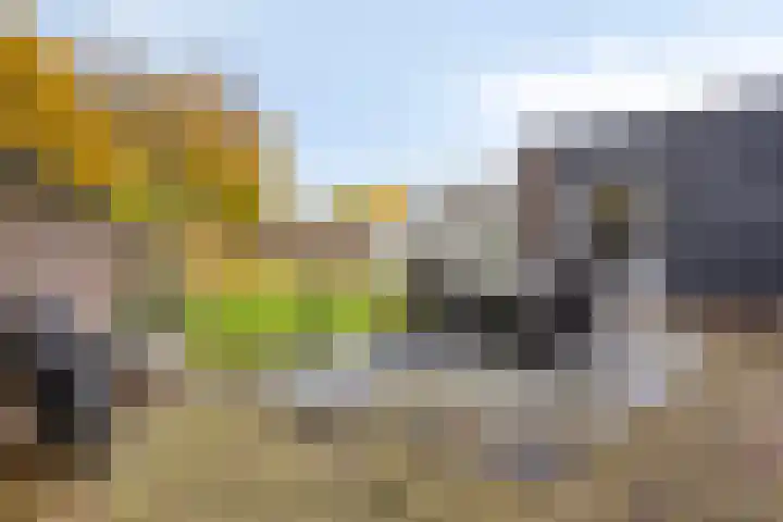 Michiel de Ruyterlaan 2 Oirschot thumbnail 47