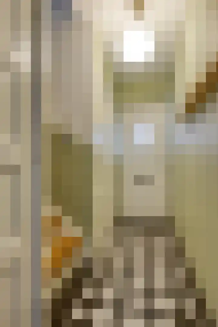 Michiel de Ruyterlaan 2 Oirschot thumbnail 7