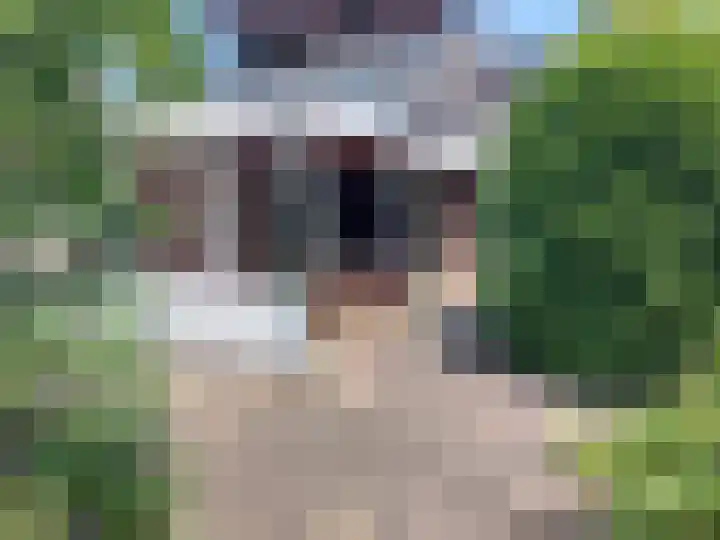 Michiel de Ruyterlaan 25 Oirschot thumbnail 13