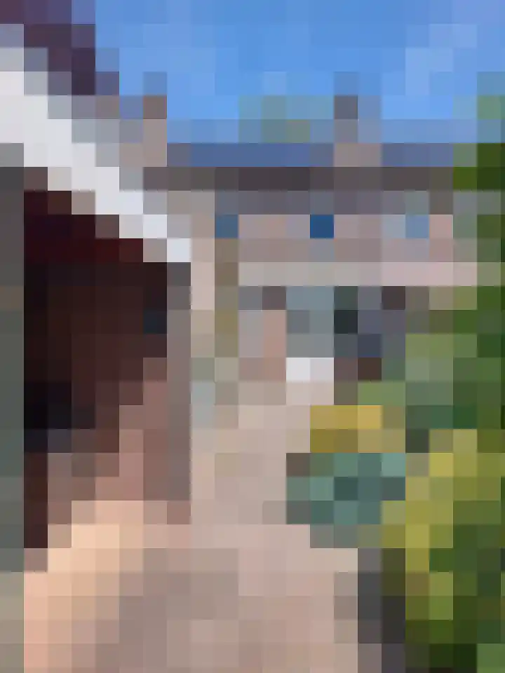 Michiel de Ruyterlaan 25 Oirschot thumbnail 14
