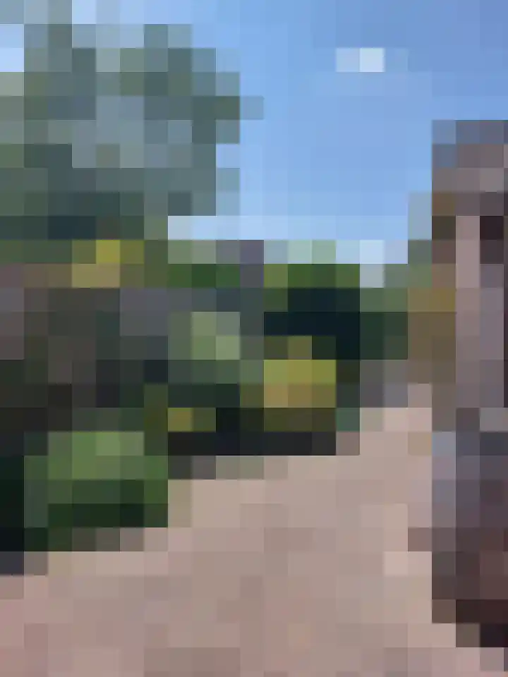 Michiel de Ruyterlaan 25 Oirschot thumbnail 7