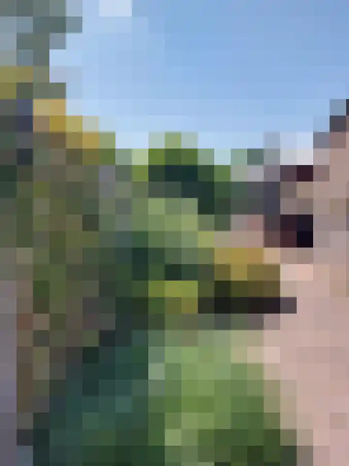 Michiel de Ruyterlaan 25 Oirschot thumbnail 8