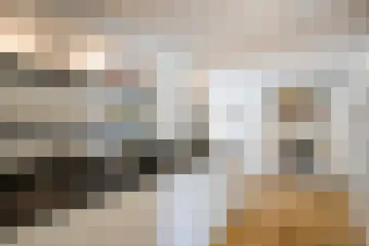 Michiel de Ruyterlaan 3 Rosmalen thumbnail 16