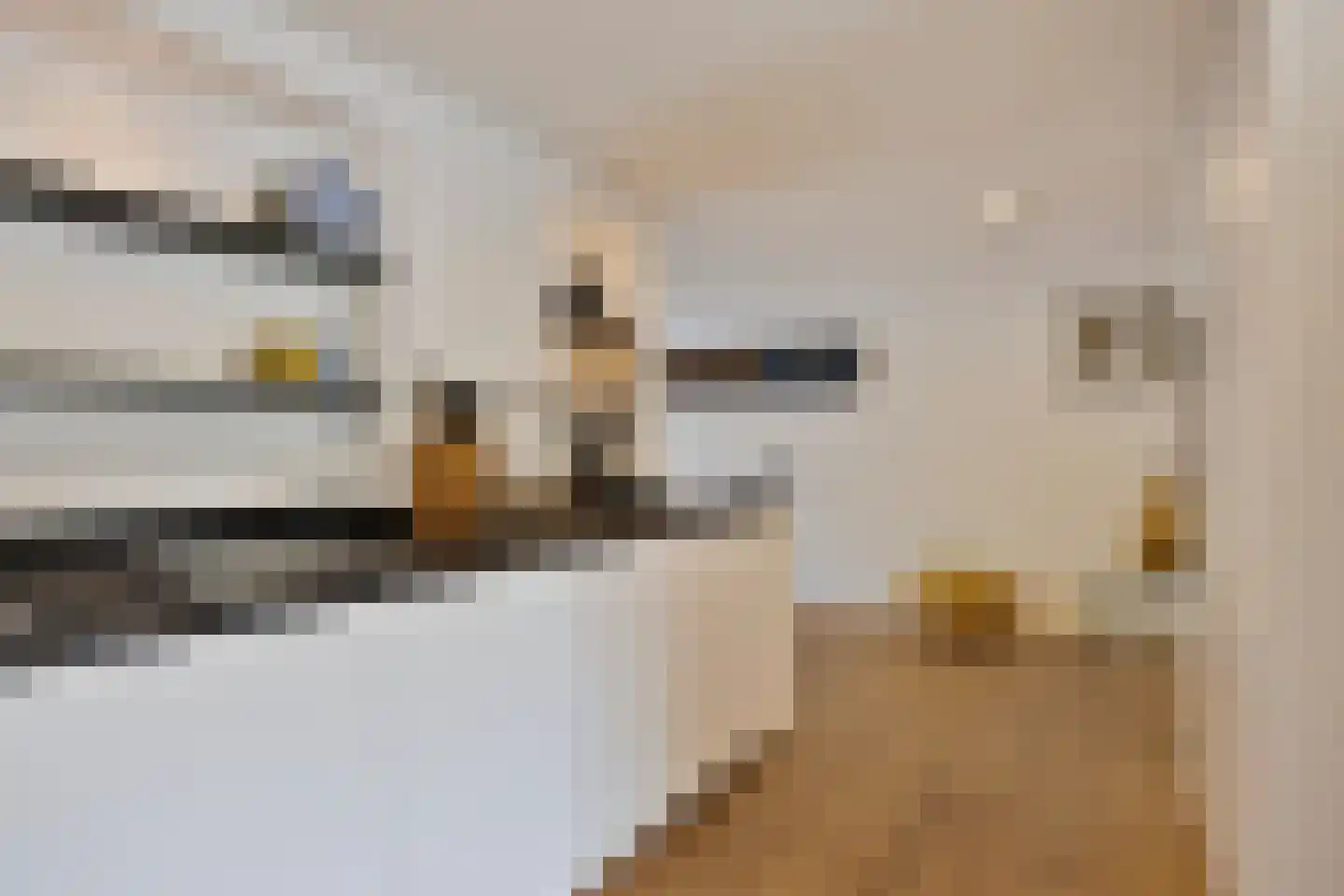 Michiel de Ruyterlaan 3 Rosmalen thumbnail 16