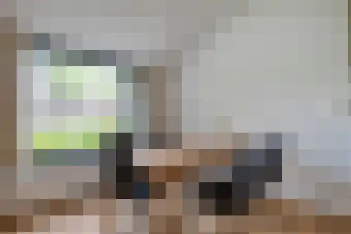 Michiel de Ruyterlaan 3 Rosmalen thumbnail 18