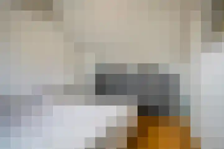 Michiel de Ruyterlaan 3 Rosmalen thumbnail 23