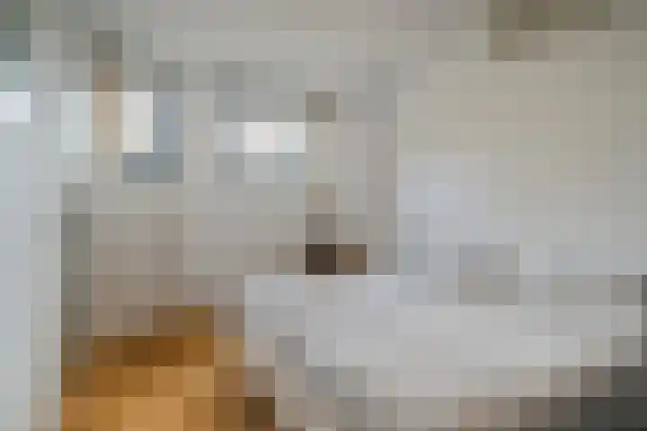 Michiel de Ruyterlaan 3 Rosmalen thumbnail 24