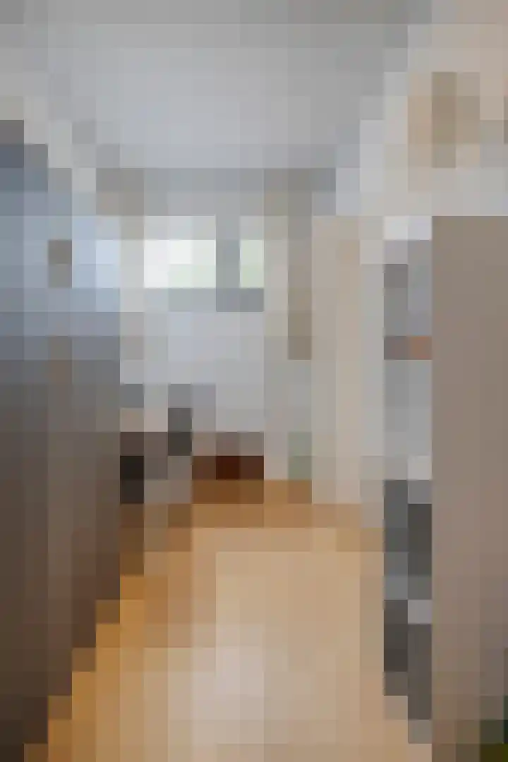 Michiel de Ruyterlaan 3 Rosmalen thumbnail 31