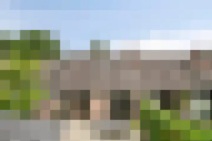 Michiel de Ruyterlaan 3 Rosmalen thumbnail 33