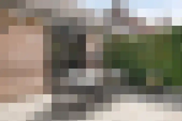 Michiel de Ruyterlaan 3 Rosmalen thumbnail 37