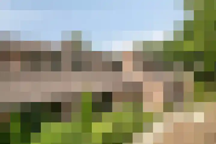 Michiel de Ruyterlaan 3 Rosmalen thumbnail 40