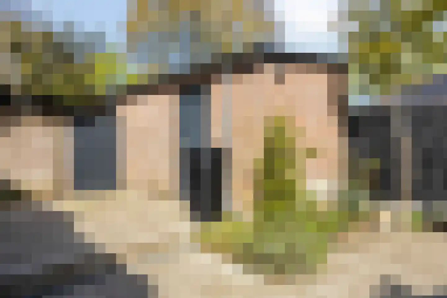 Michiel de Ruyterlaan 3 Rosmalen thumbnail 43