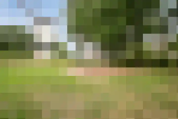 Michiel de Ruyterlaan 3 Rosmalen thumbnail 44