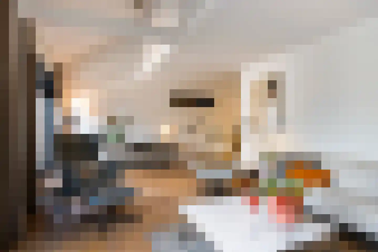 Michiel de Ruyterlaan 3 Rosmalen thumbnail 5
