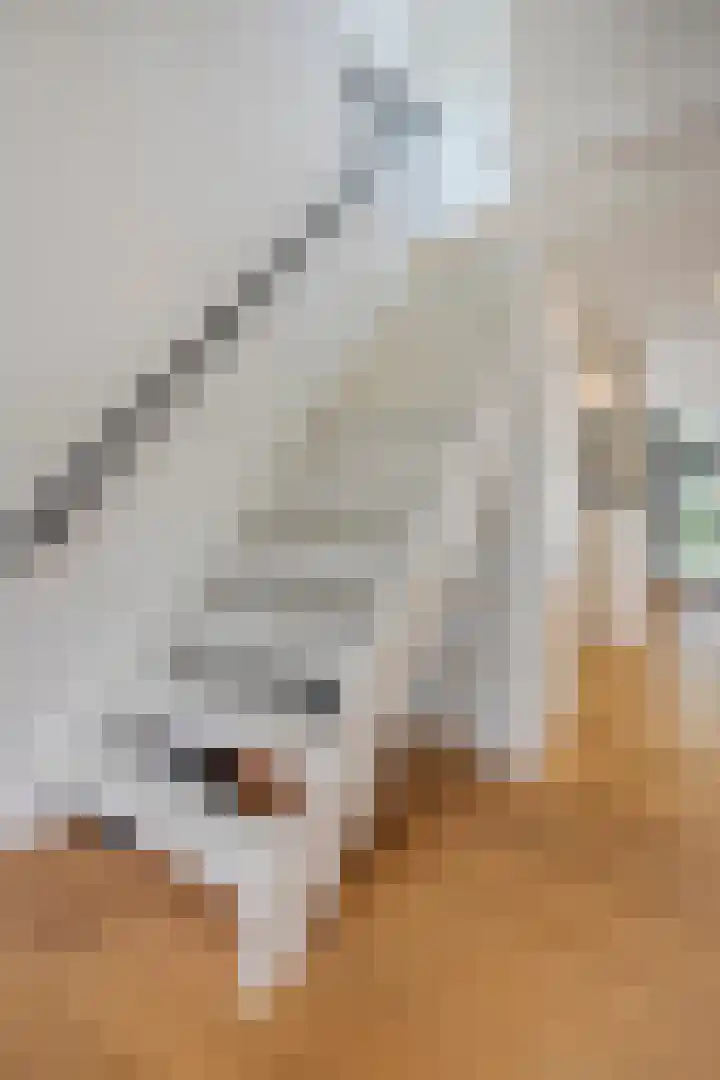 Michiel de Ruyterlaan 3 Rosmalen thumbnail 9