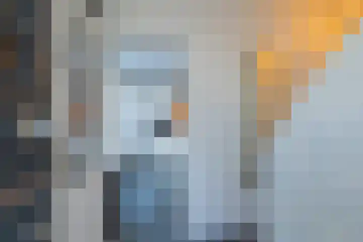 Michiel de Ruyterstraat 11 Hillegom thumbnail 4