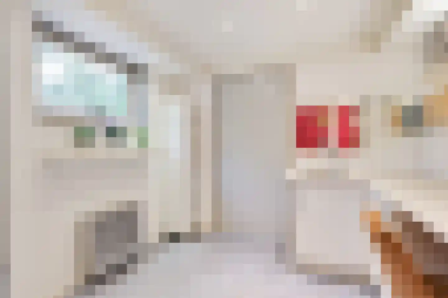 Michiel de Ruyterstraat 16 Zevenaar thumbnail 61