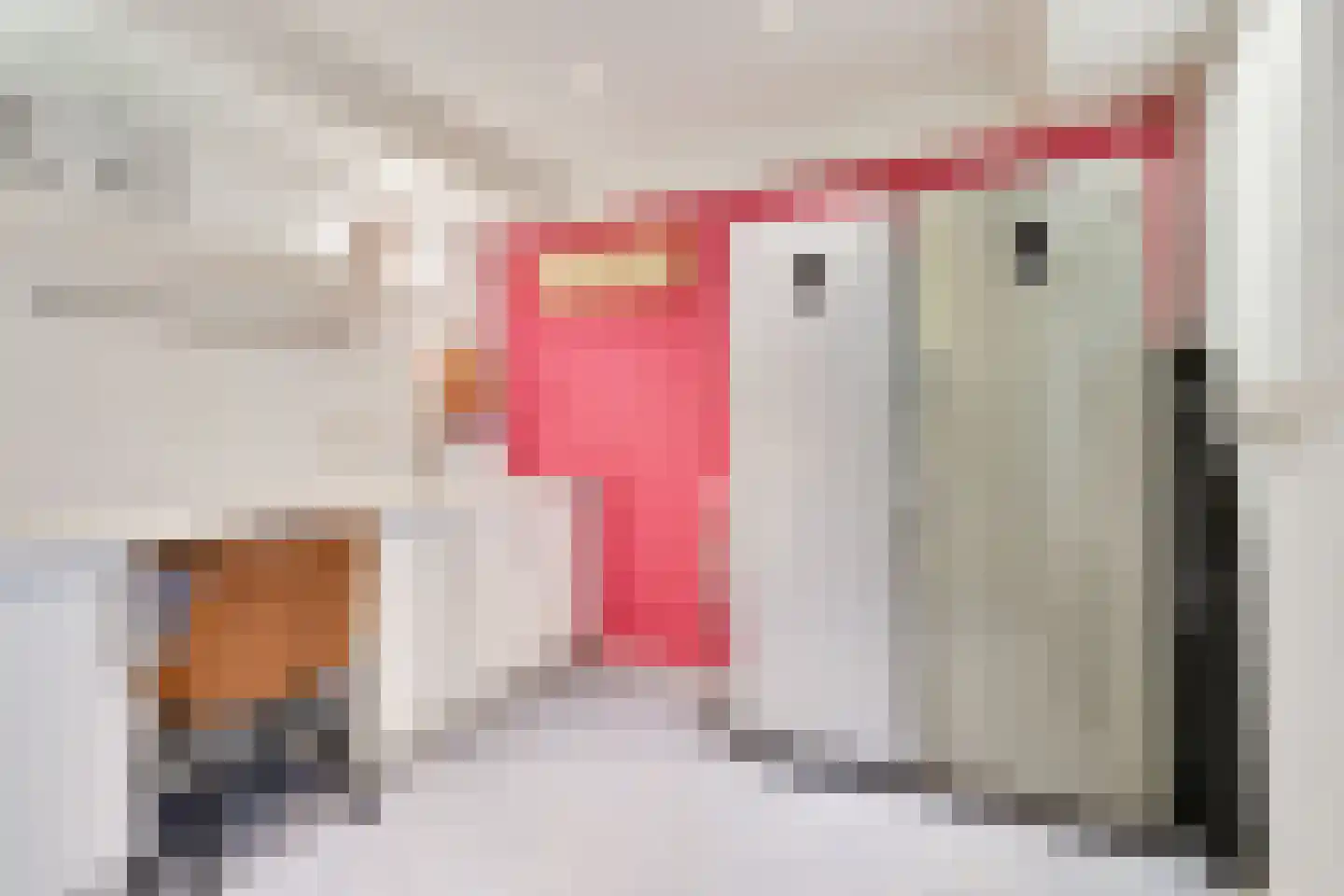 Michiel de Ruyterstraat 16 Zevenaar thumbnail 62