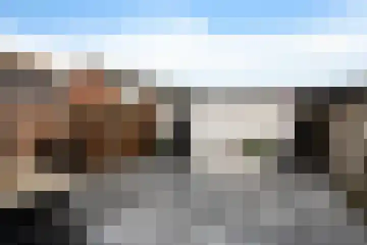 Michiel de Ruyterstraat 29 's-Hertogenbosch thumbnail 25