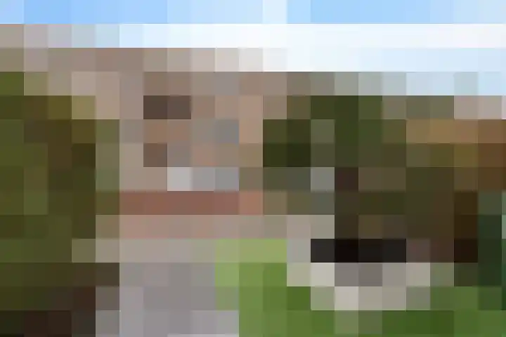 Michiel de Ruyterstraat 29 's-Hertogenbosch thumbnail 31