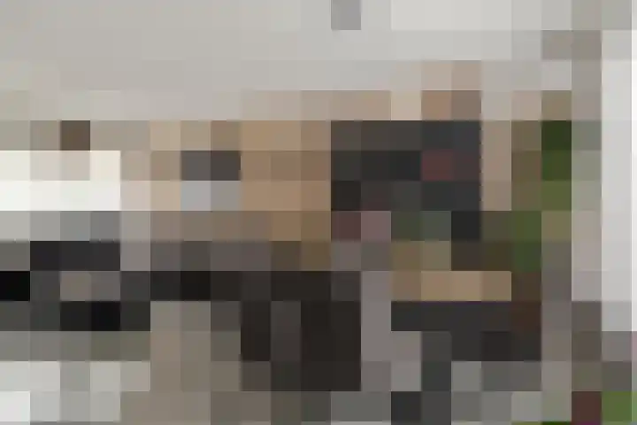 Michiel de Ruyterstraat 29 's-Hertogenbosch thumbnail 8